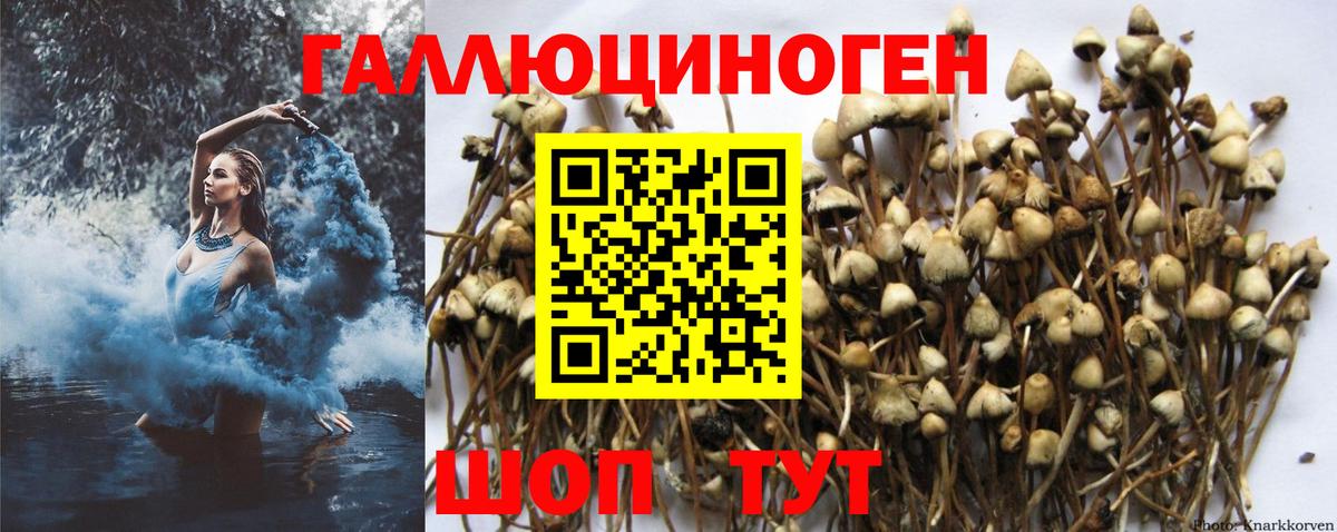 Галлюциногенные грибы мухоморы Белореченск