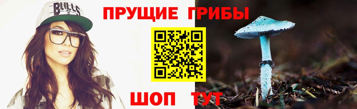 Белореченск  Галлюциногенные грибы мицелий  купить наркотик  Вход с VPN  Галлюциногенные грибы MAGIC MUSHROOMS 